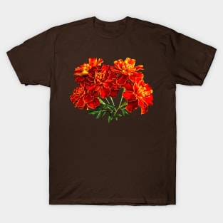 Marigolds - Bouquet of Marigolds T-Shirt